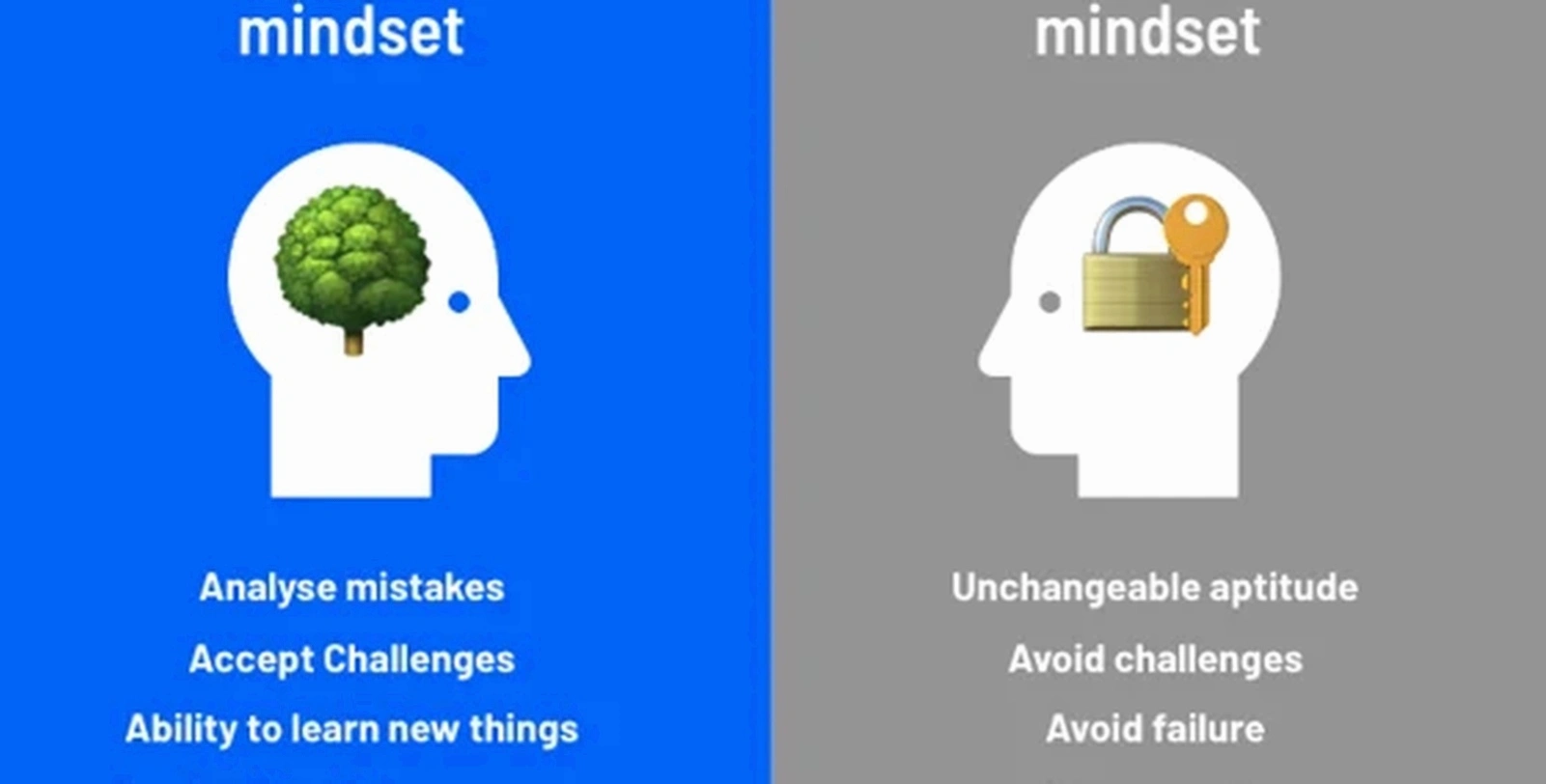 Growth mindset entrepreneurship coaching